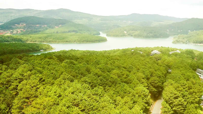 Tín chỉ carbon - Giải pháp khôi phục rừng Tây Nguyên - Bài 1: “Mỏ vàng” chưa được đánh thức