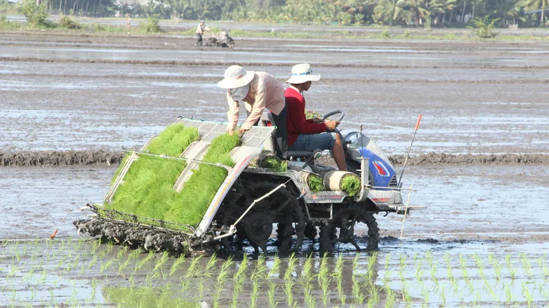 Không nên đẩy trách nhiệm cho nông dân