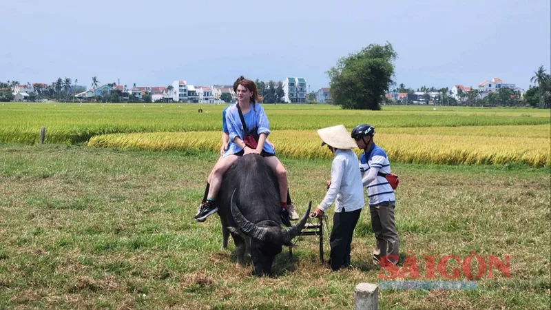 6 tháng đầu năm, lượng khách quốc tế đến Quảng Nam đạt 3,1 triệu lượt, gấp đôi lượng khách trong nước