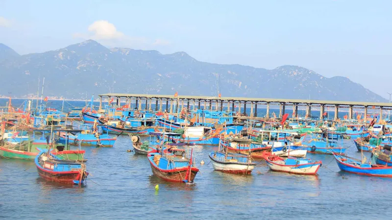 Khánh Hòa chống khai thác IUU có hiệu quả