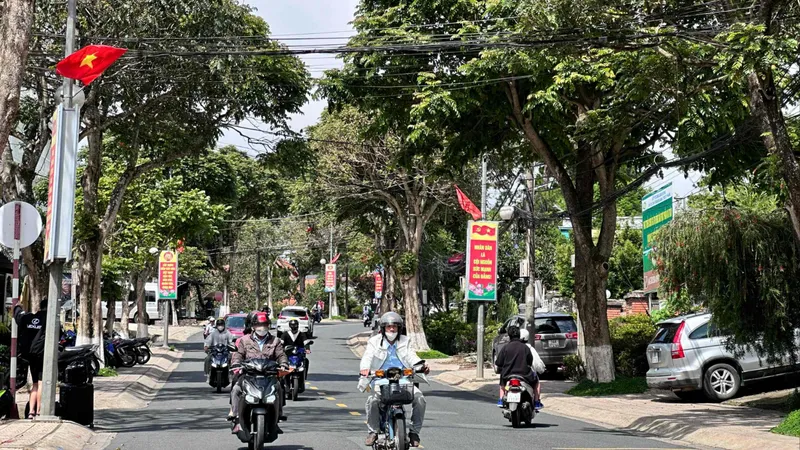 Đề xuất chặt hạ 52 cây sò đo cam để mở rộng đường Lê Hồng Phong, TP Đà Lạt