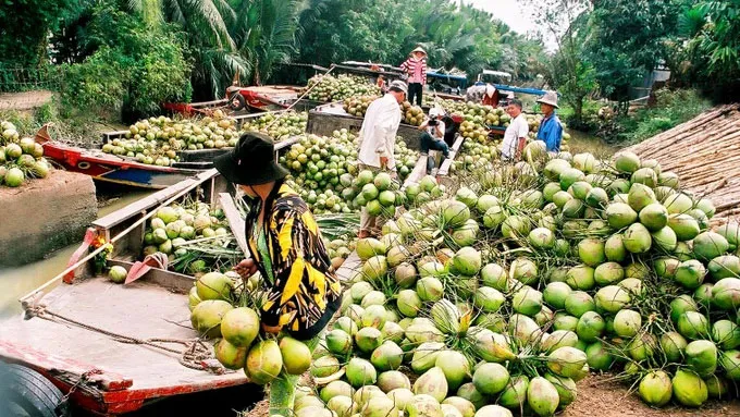 Các đại biểu tham dự hội thảo