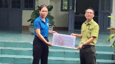 Tiếp nhận cá thể trăn và khỉ đuôi lợn để bảo tồn