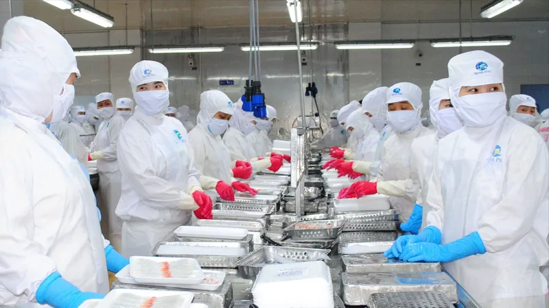 Chế biến tôm xuất khẩu tại một nhà máy trên địa bàn TP Cà Mau, tỉnh Cà Mau.