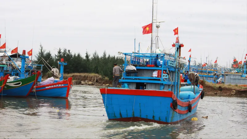 Cần tháo gỡ vướng mắc, tăng cường chính sách hỗ trợ ngư dân và nghề cá Quảng Ngãi