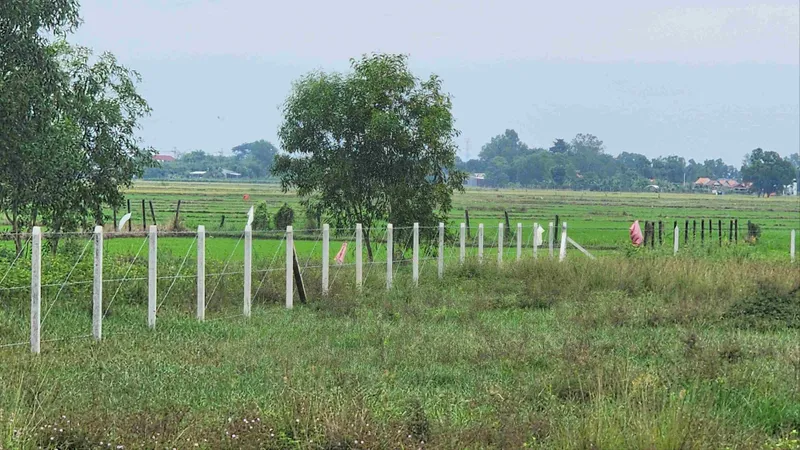 TPHCM: Nhà đầu tư nghe ngóng tác động từ bảng giá đất mới