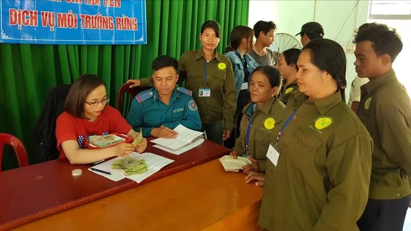Chi trả dịch vụ môi trường rừng cải thiện sinh kế cho người làm nghề rừng