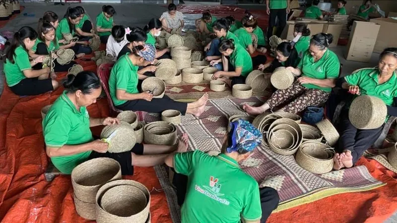Cô giáo đưa sợi cói vươn ra thế giới