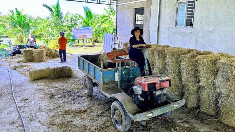 Quang cảnh hội nghị