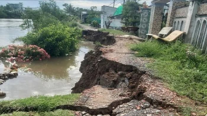 Ngăn chặn tình trạng sạt lở đất đá, bờ sông, bờ biển