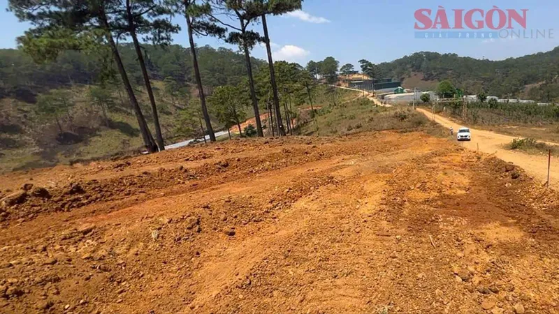 Đà Lạt: Ngang nhiên san ủi đất rừng giữa ban ngày