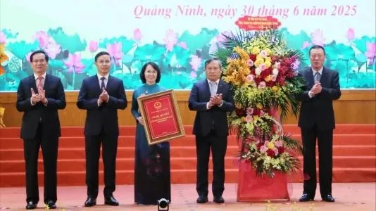 Quảng Ninh: Công bố 52 đơn vị hành chính xã, phường và 2 đặc khu