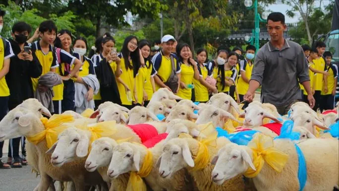 Phát triển chăn nuôi thích ứng biến đổi khí hậu, gắn với du lịch sinh thái