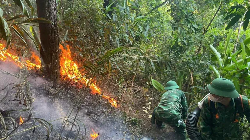 Đồn Biên phòng Roòn tham gia chữa cháy rừng phòng hộ ở Đèo Ngang