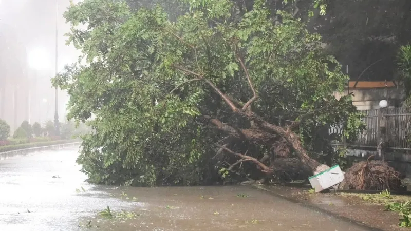 Bão đã vào đất liền, mưa gió trên diện rộng