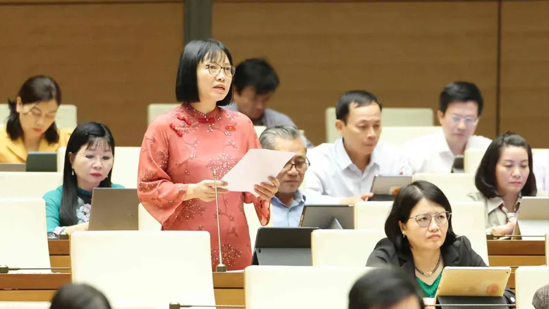 Các đại biểu dự phiên họp chiều 28-10. Ảnh QUANG PHÚC