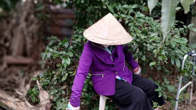 Bình yên sau bão lũ