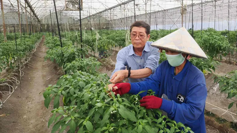 Nông nghiệp đô thị chuyển mình