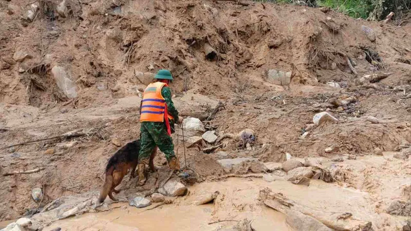 Đà Nẵng: Tìm thấy thi thể đầu tiên trong vụ sạt lở ở Hùng Sơn