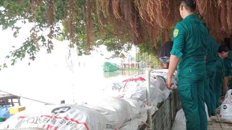 TPHCM khẩn trương triển khai các biện pháp ứng phó bão số 15