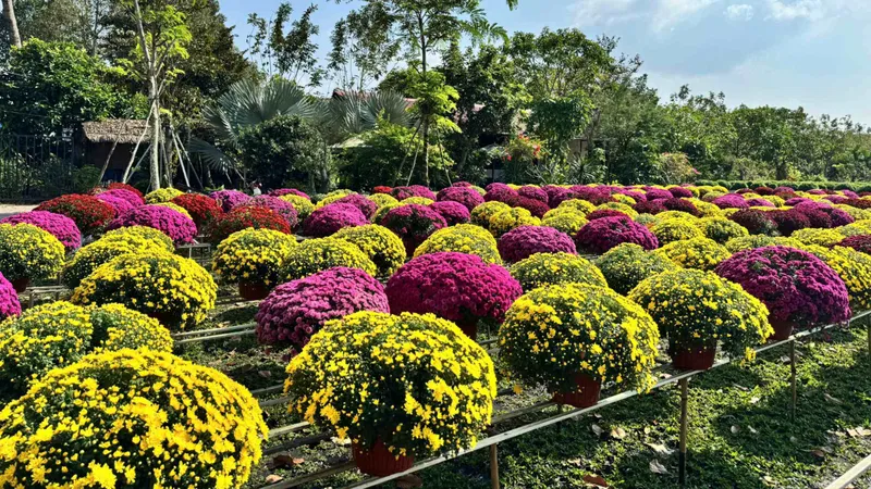 Khai mạc Festival Hoa – Kiểng Sa Đéc lần thứ II