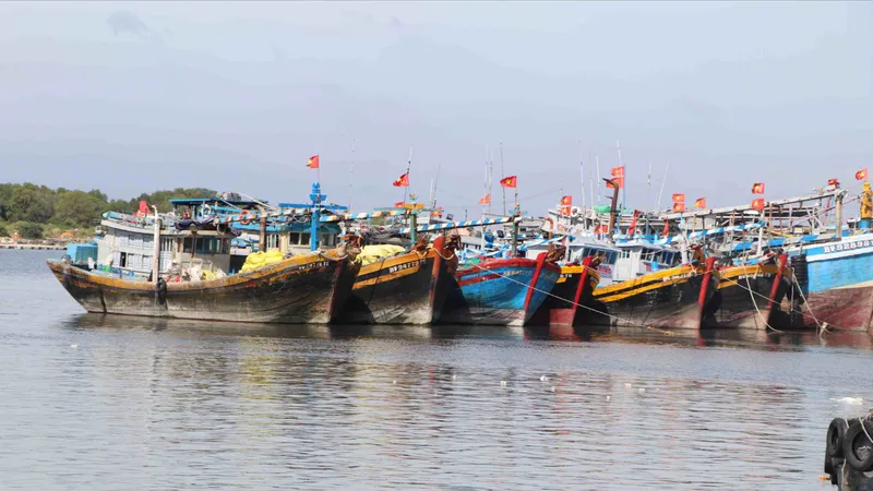 Tàu cá ngư dân TPHCM khi vươn khơi phải bảo đảm điều kiện hồ sơ theo đúng quy định.