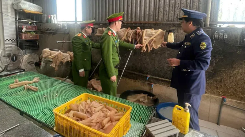 Lực lượng chức năng kiểm tra tại cơ sở kinh doanh chứa da heo