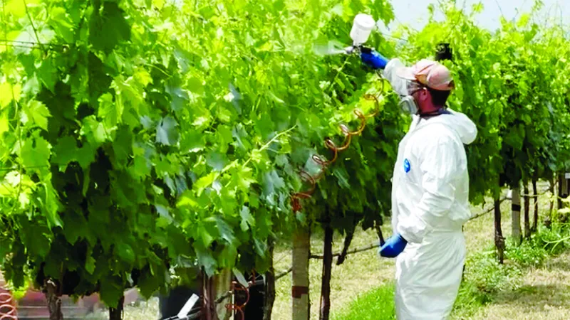 Công nghệ lớp phủ sinh học giúp giảm lượng thuốc trừ sâu tại Israel (ẢNH: FERTILIZER DAILY)