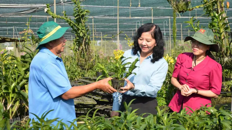 Lãnh đạo Hội Nông dân TPHCM thăm, động viên người trồng hoa tết xã Bình Chánh