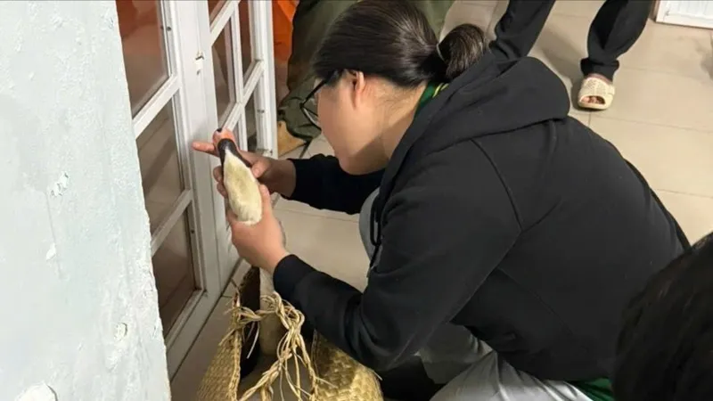Kịp thời giải cứu thiên nga trắng bị trộm ở Thảo Cầm Viên Sài Gòn