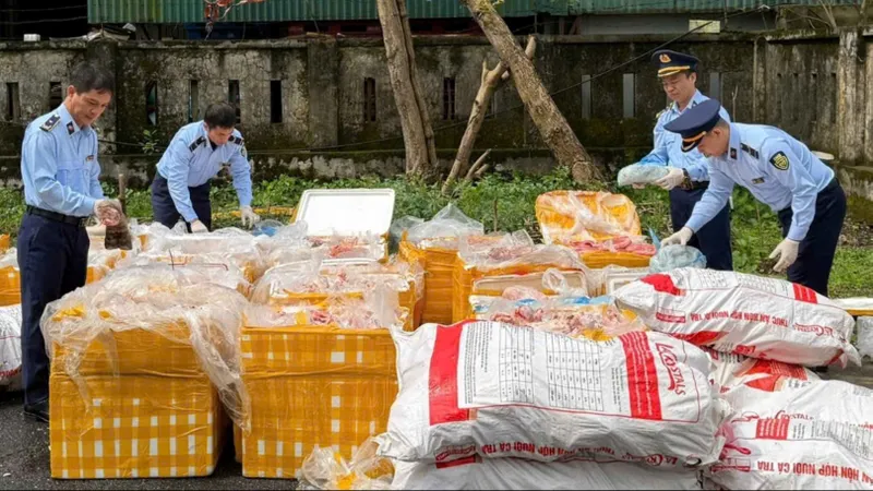 Lực lượng chức năng tiến hành xử lý số nội tạng, xương ống, mỡ động vật, chân trâu.... không rõ nguồn gốc