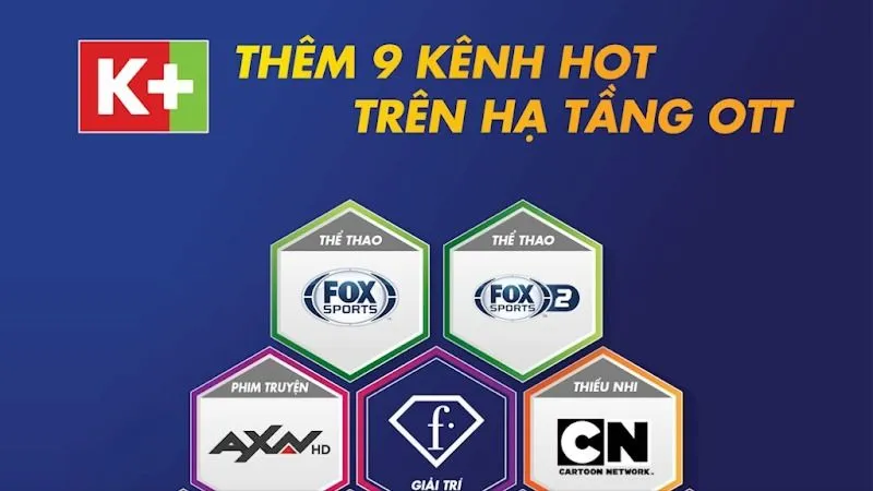 Công ty TNHH Truyền hình số vệ tinh Việt Nam công bố thêm cổ đông mới