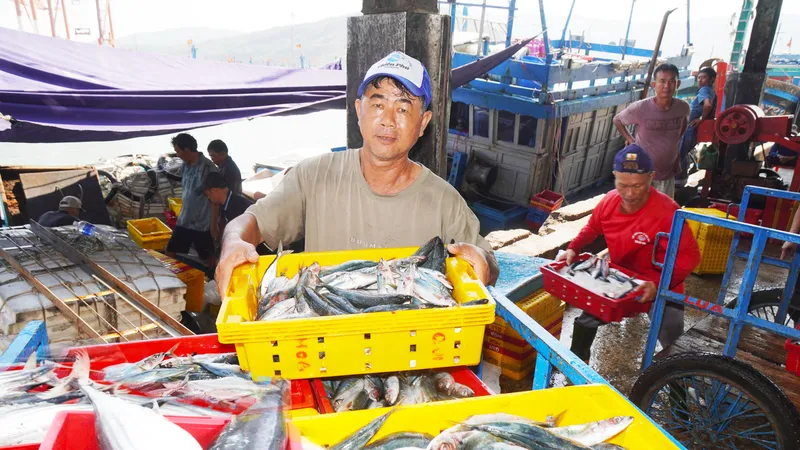 Tàu cá nghề bẫy chà ở phường Hoài Nhơn (tỉnh Gia Lai) đánh bắt đạt sản lượng rất cao đầu năm 2026 (ẢNH: NGỌC OAI)