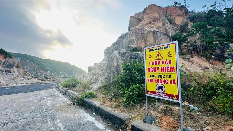 Đắk Lắk: 5 du khách nhập viện cấp cứu vì bị khỉ cắn