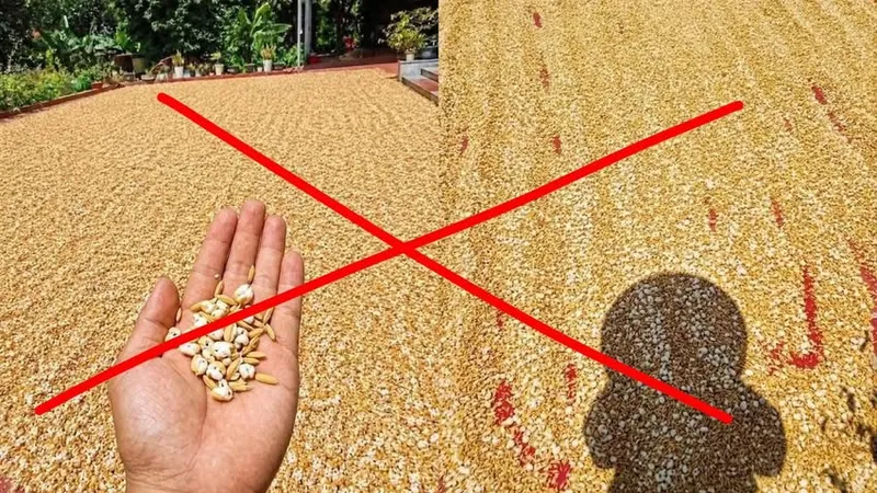 Dừng một nhịp trước khi chia sẻ