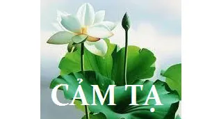 Lời cảm tạ