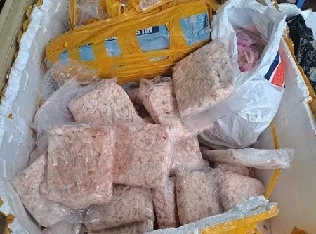 Buộc tiêu hủy hơn một tấn thực phẩm đông lạnh không rõ nguồn gốc tại TPHCM