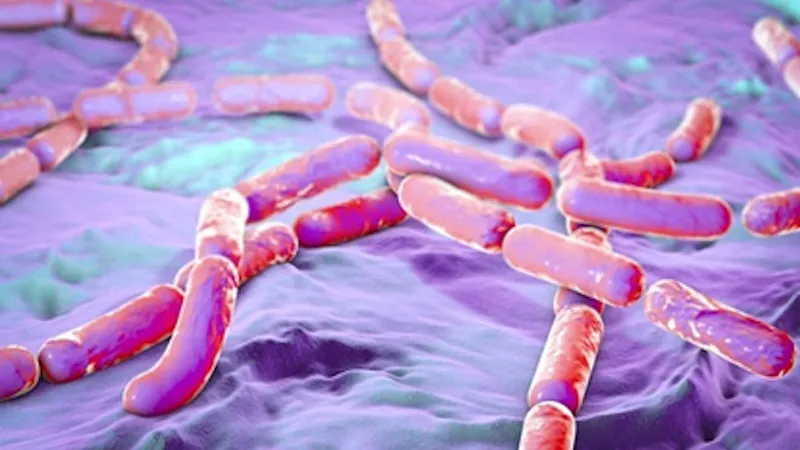 Vi khuẩn Bacillus cereus liên quan việc thu hồi một lô sữa tại Anh