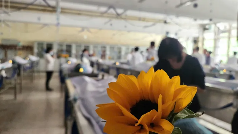 Ngày lễ đặc biệt tại Trường Đại học Y Dược TPHCM 