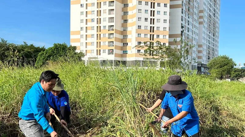 Dọn dẹp vệ sinh khu vực dân cư phường Đông Hưng Thuận