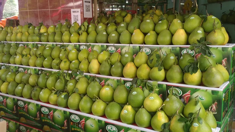Làng bưởi Tân Triều vào vụ tết.
