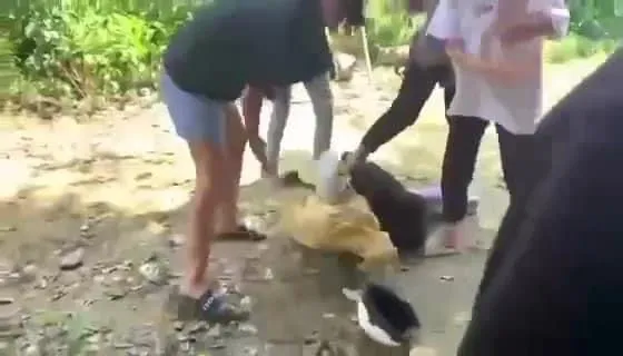 Đồng Nai: Nữ sinh bị đánh hội đồng, lột đồ giữa đường