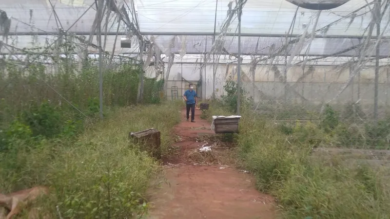 Đồng Nai: Bắt nguyên Phó Giám đốc Sở KH- CN Nguyễn Ngọc Phương