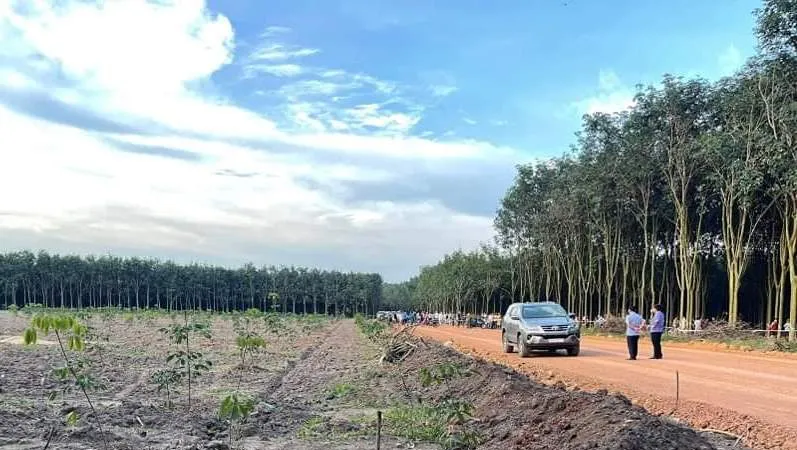 Hiện trường vụ án