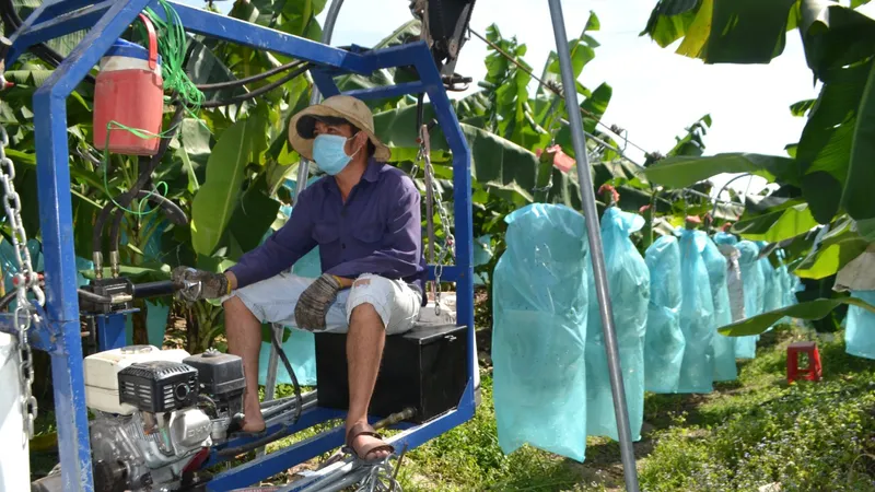 Tây Ninh nâng chất xây dựng nông thôn mới