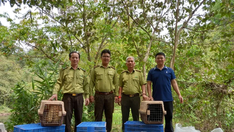 Đồng Nai: Thả hơn 100 động vật hoang dã về rừng