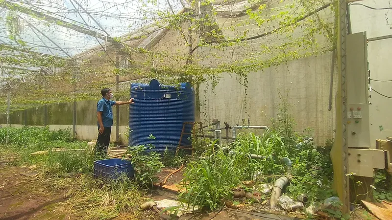 Dự án mô hình sản xuất rau, quả nhà màng xảy ra nhiều sai phạm