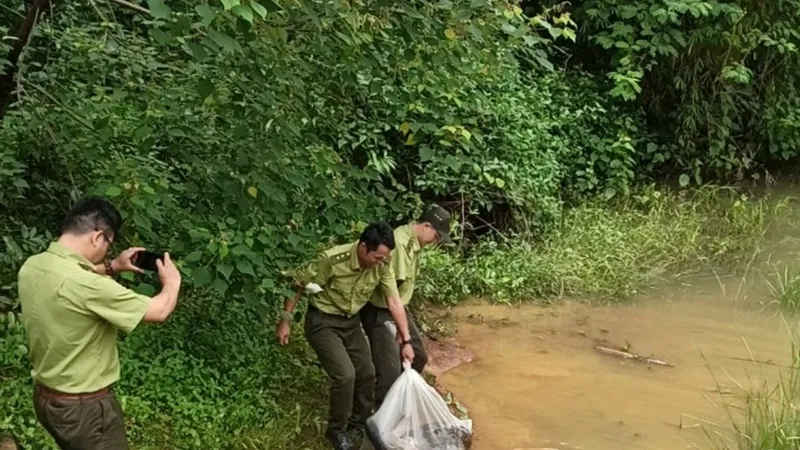 Đồng Nai: Thả trăn đất quý hiếm 42kg về rừng tự nhiên 