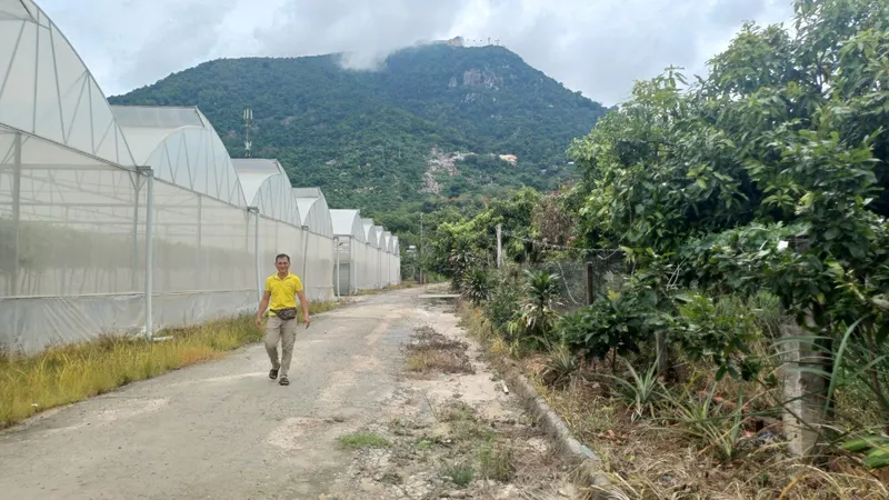 Tây Ninh: Tăng trưởng kinh tế dẫn đầu Đông Nam bộ trong 6 tháng đầu năm 2024