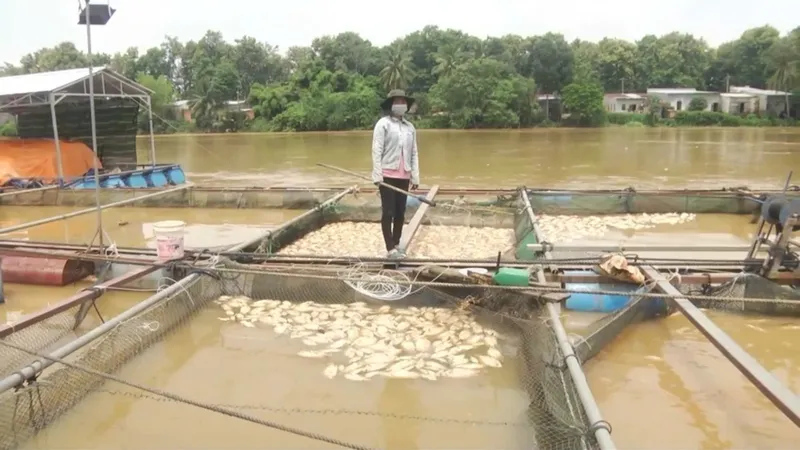 Nguy cơ xảy ra lũ trên hệ thống sông Đồng Nai